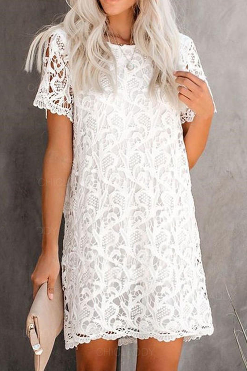 Casual Solid Lace O Neck Straight Dresses